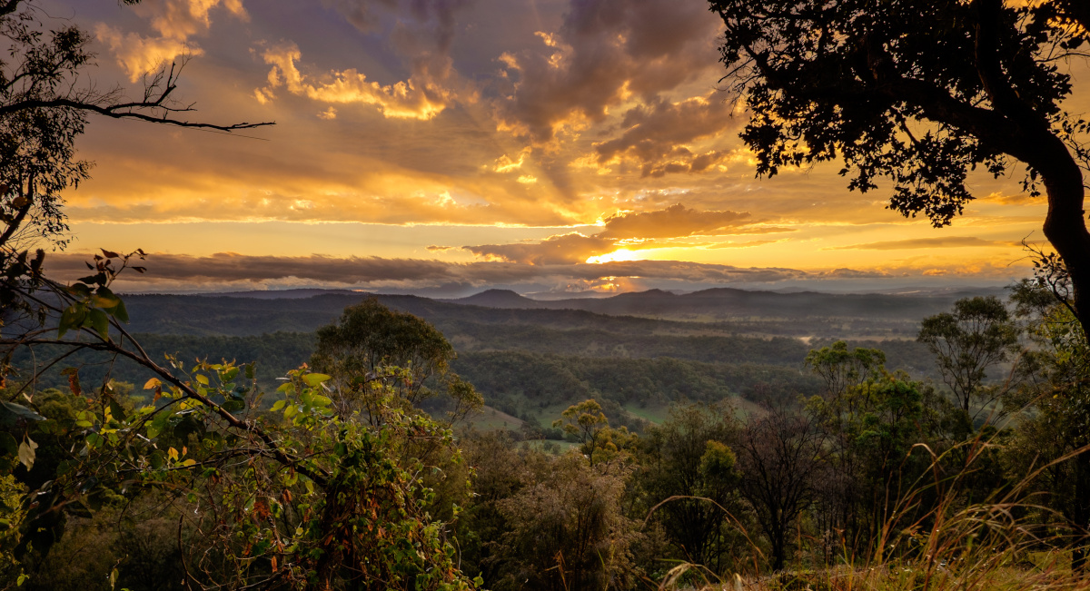 Sunset in Kondalilla national parc. Australian viewpoint landscape